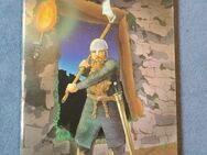 Lost Worlds Fantasy Combat Book: Dwarf in Chainmail - Wedemark