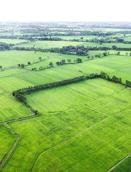 Land- / Forstwirtschaft in 56244 Steinen - Steinen (Rheinland-Pfalz)
