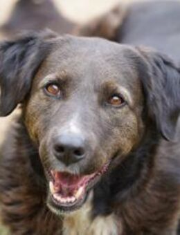 Esmeralda - Bad Vilbel