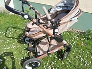 Kinderwagen Kidoku - Brühl (Nordrhein-Westfalen)