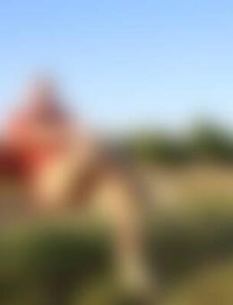 Ekk*** - Lörzweiler