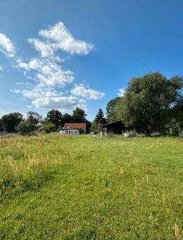 Sanierungsobjekt mit Potenzial - Einfamilienhaus auf 5.232?m² Grundstück - Golßen