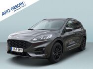 Ford Kuga, 2.5 Duratec ST-LINE, Jahr 2024 - Bad Kreuznach