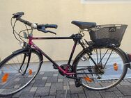 Herren Fahrrad Treckingrad von Epple - Sehr guterhalten - Aichach