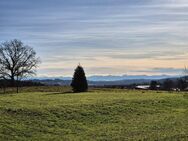 Haus in ruhiger Lage mit Bergsicht und Grundstück! - Wilhelmsdorf (Baden-Württemberg)
