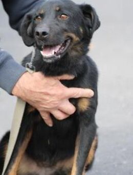 Canja - munter u. kinderlieb - Lohra