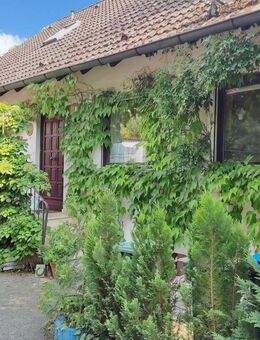 Einfamilienhaus mit uneinsehbarem Garten in Dormitz/Kleinsendelbach - Kleinsendelbach