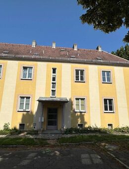 +++ Schöne 1 Raumwohnung im grünen Weißenfels +++ - Weißenfels