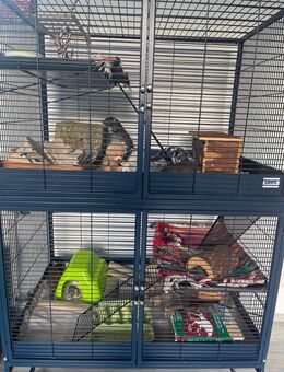Savic Suite Royal 95 Double - großer Ratten/ Kleintierkäfig - Gelsenkirchen