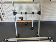 Fahrradträger Carry-Bike Pro für 3 Räder - Schuby