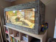 Bartagame und Terrarium abzugeben - Dillingen (Saar)