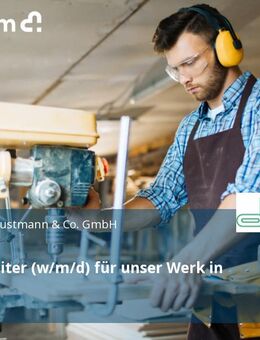 Betriebsleiter (w/m/d) für unser Werk in Vreden - Vreden
