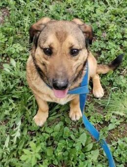 Unscheinbar das ist Lenny- - Overath