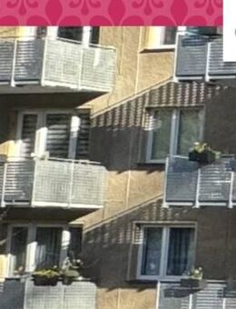 RENDITEBRINGER IN GROSS KREUTZ: SOLIDES MEHRFAMILIENHAUS MIT TREUER MIETERSCHAFT - Groß Kreutz (Havel)