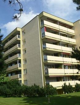 Großzügige Wohnung mit Gestaltungsspielraum und Aussicht - Nürnberg