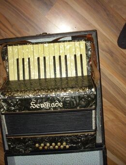Ziehharmonika / Arkordeon - Frankfurt (Main)