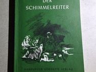 "Der Schimmelreiter" Theodor Storm * Schullektüre* zu verkaufen - Walsrode