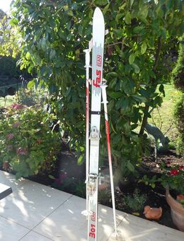 ELAN SKI und Schuhe - Bruchköbel