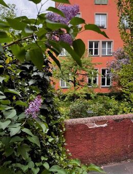Kleines, sehr süßes und modernisiertes Altstadthaus in sehr ruhiger, zentraler Lage - Dinkelsbühl
