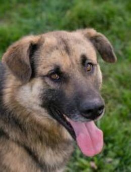 236917 - so 'ne Familie muss cool sein - Overath