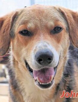 JOHNNY die Feuerwehr eilte zu Hilfe - Regensburg