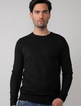 Petrol Industries Strickpullover mit Rundhalsausschnitt