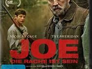 Joe - Die Rache ist sein [Blu-Ray] Green David Gordon, FSK16 - Verden (Aller)