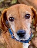 Kleine LINA wünscht sich eine Familie in 69207