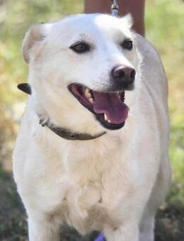 Feinfühlig zart und voller ♥️ = LAURA - München