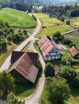 Denkmalgeschütztes Hofgut bietet spannende Perspektive für Landwirte - Heiligenberg