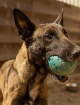 menschenbezogene, liebe Gina - Kallmünz