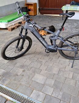 Cube E MTB Stereo Hybrid 140 - Langgöns