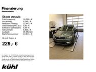 Skoda Octavia, 1.4 TSI Combi Ambition, Jahr 2017 - Hildesheim