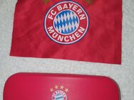 Brillenetui mit Brillenputztuch, FC Bayern, unbenutzt - Eisenberg (Bayern)