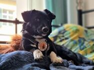 Kleine Marnie wird dein Leben verändern - München