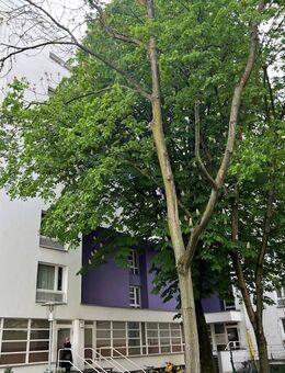 Mitten in Berlin! Vermietete 4 Zimmer Wohnung - Berlin