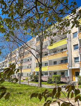 Wohnträume verteilt auf 3 Räume - Zwickau