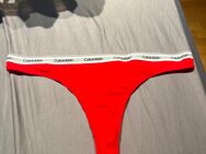 Getragener Calvin Klein Tanga - Neuss