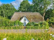 Ein Ruhepol im Grünen Historische Fischerkate am Eiderdeich - Tönning