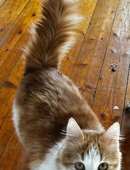 Kleiner Moritz möchte Welt entdecken! - Bergkirchen