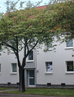 Klein aber fein - Wohnen, wo das Herz schlägt. - Hamm