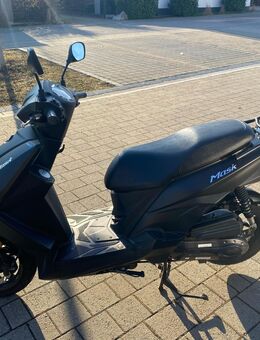 Roller Mask 50i - Hilpoltstein