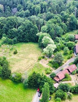 Traumkulisse mit Talblick: 3,5 ha für Wohnen, Arbeit, Freizeit, Tierhaltung und kreative Projekte - Oberrot