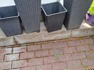 Pflanzkübel mit Pflanzeinsatz - Oberhausen