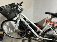 Fahrrad 28zoll - Donauwörth