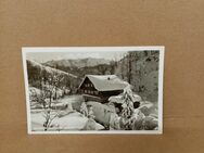 Postkarte C-183-Blecksteinhaus mit Sonnwendjoch. - Nörvenich