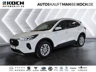 Ford Kuga, 1.5 EcoBoost Titanium Winterp, Jahr 2024 - Ahrensfelde