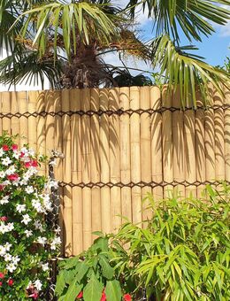 Bambus Sichtschutz Moso 90x180 cm – Halbrohr Bambuszaun hell Natur Garten - Herne