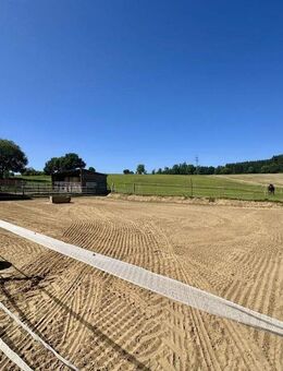Reiterparadies & Mehr: Großzügiges Anwesen mit Hallen, Sandreitplatz und Ausbaupotenzial - Kirchenthumbach