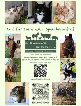 Deine Spende für den Tierschutz - Templin